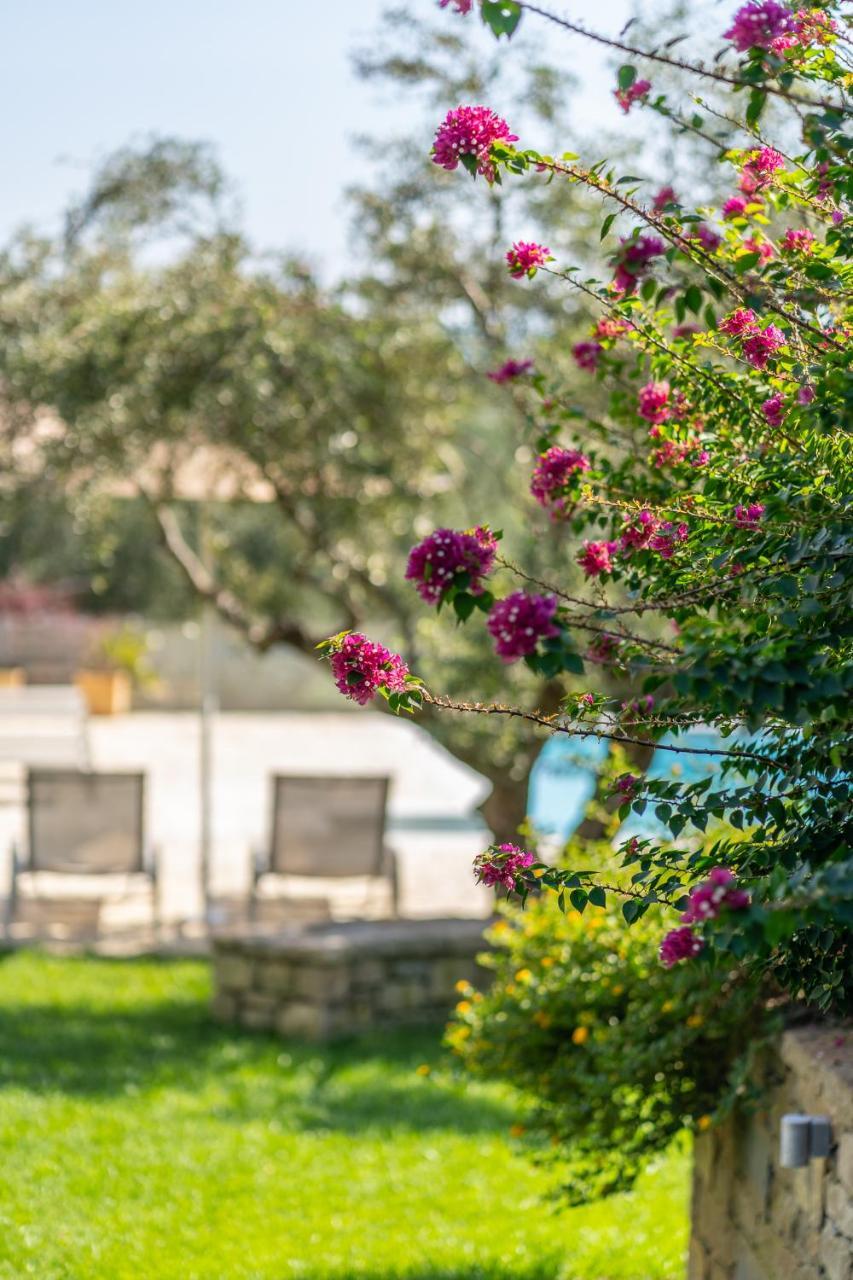 Abelia Luxurious Villas Finikounta Dış mekan fotoğraf